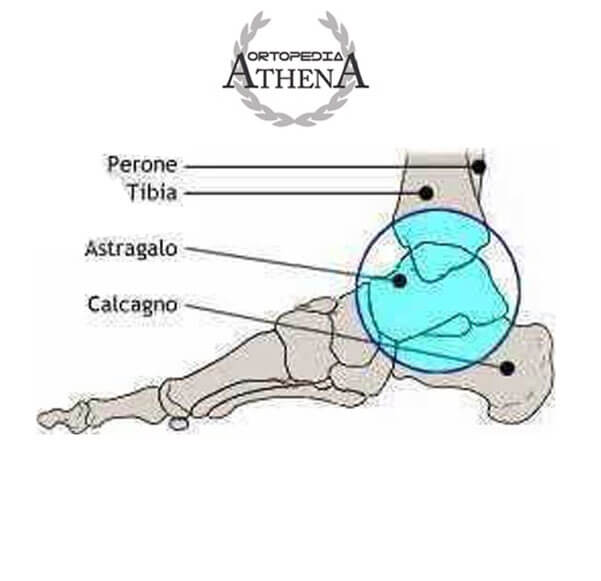 biomeccanica del piede