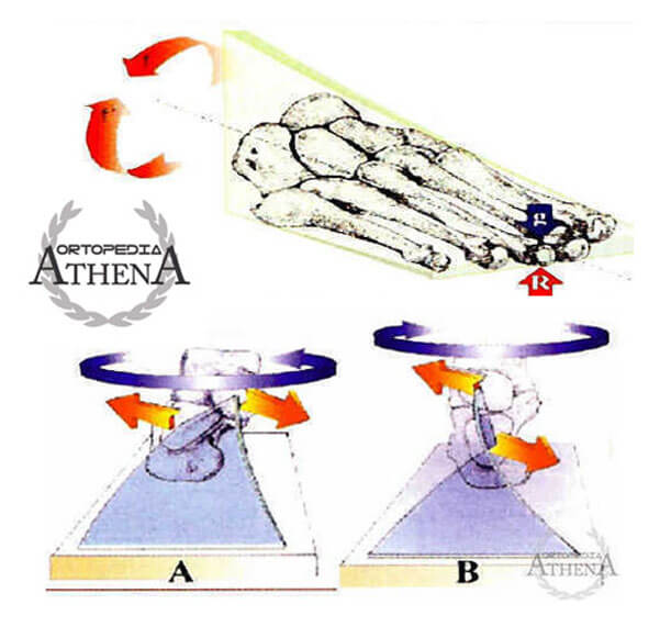 biomeccanica del piede